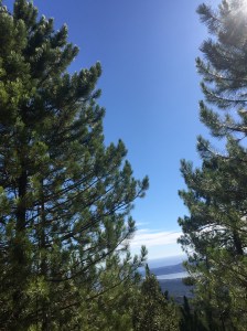 33DFC52F-E0FE-4D05-B82D-BA4E32E9BD42