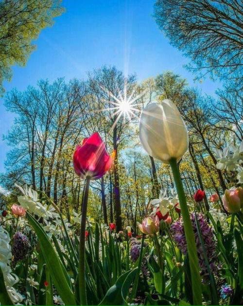 3E087CFA-2DFA-4827-AC46-D3281ED9631D