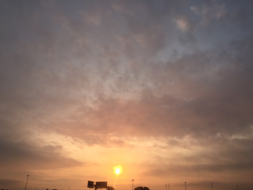 FF71D938-5C49-458D-83A7-4865760277CC