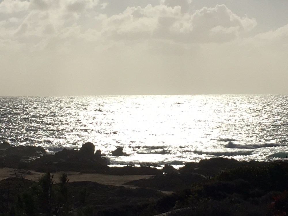 19F1804B-A377-44ED-9FA3-0AAD8161865E