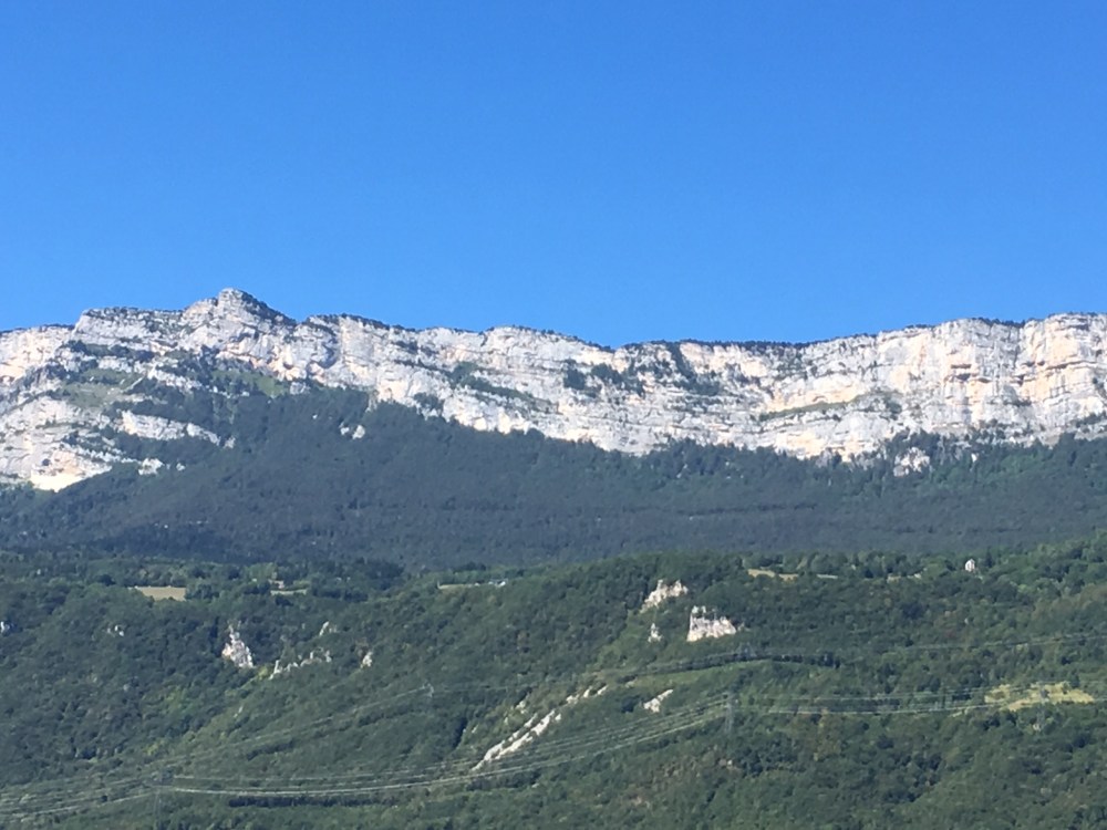 F5F92880-AA5E-46E4-A028-416026249FF8