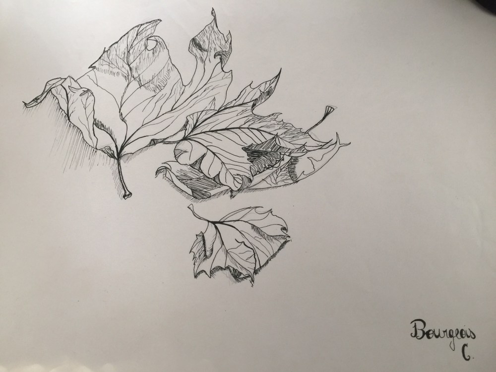 BBDB95B1-244B-433D-8791-E06038A9E8EC