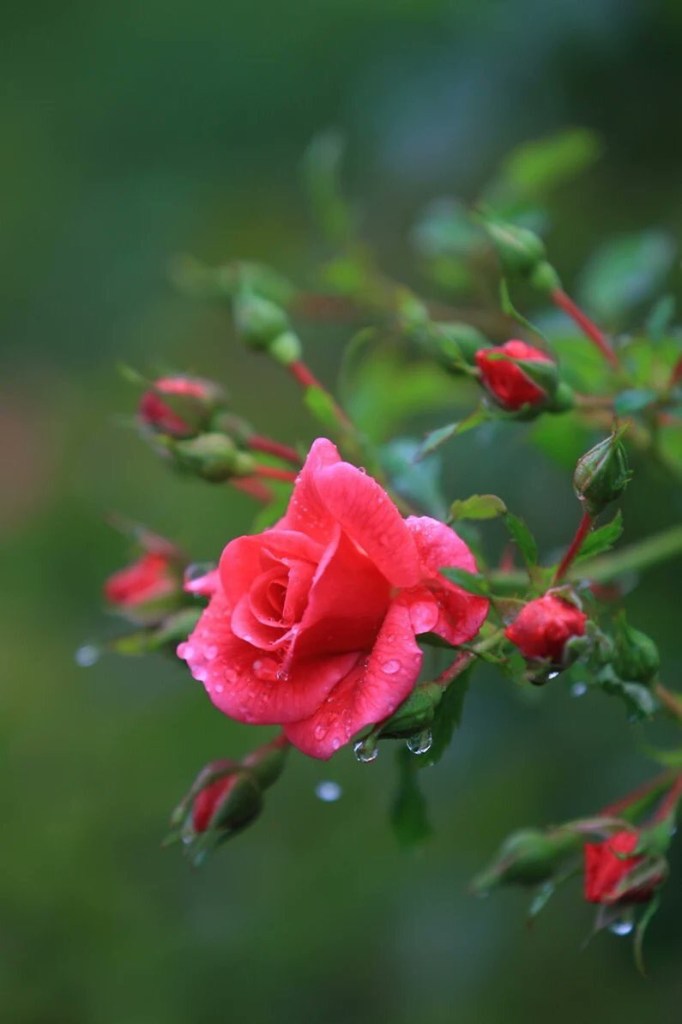 08bfc673-a293-48fa-84dd-6ffdcea04a0a